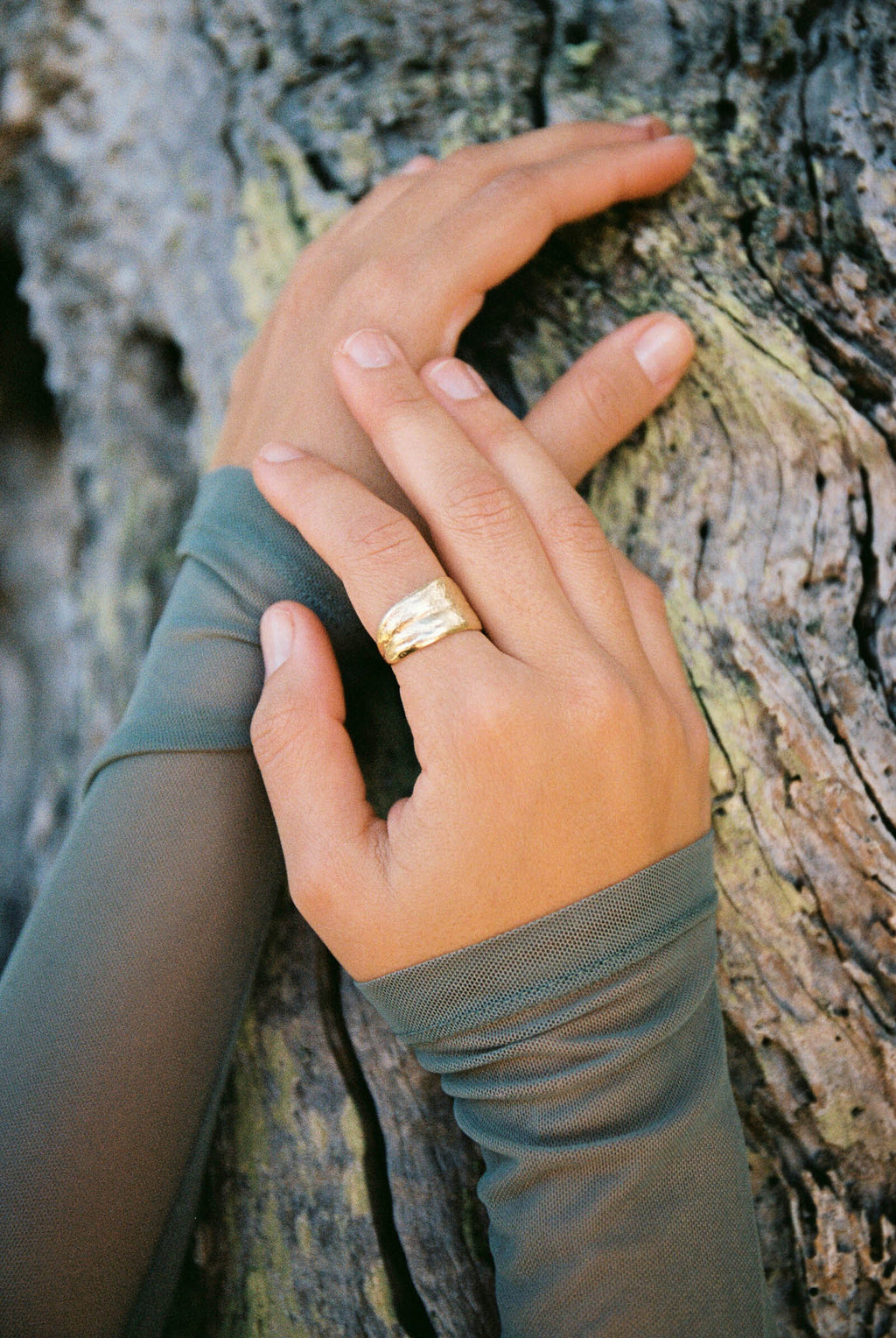 OLEA: anell or-107