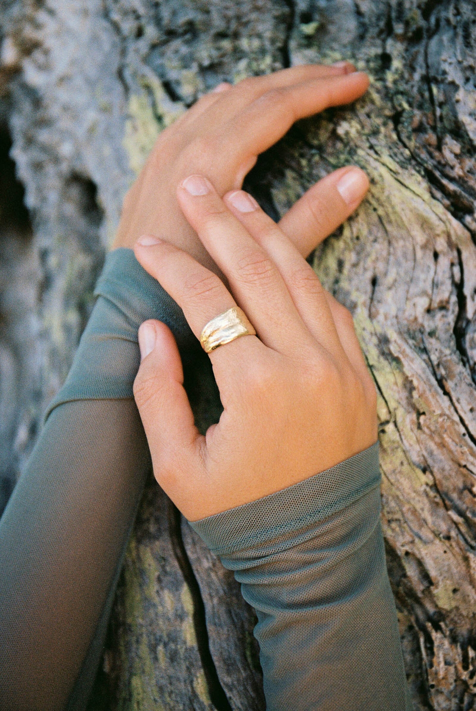 OLEA: anell or-107